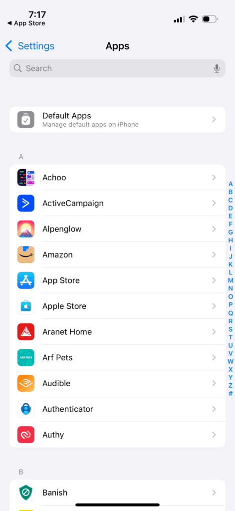 A screenshot of the default opening options of the iOS Settings screen.
