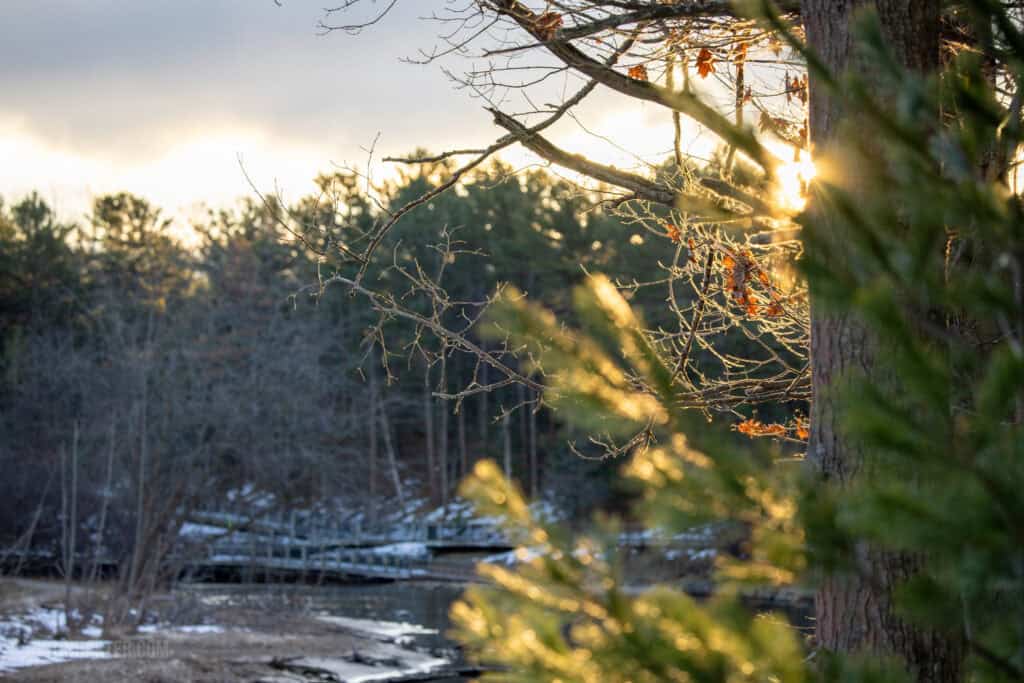 Do we even have a culture? 8 The view of Big Sauble River